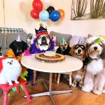 Lewis Hamilton threw a birthday party for his dog Roscoe