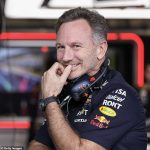 Christian Horner wields a ‘terrifying’ amount of power at Red Bull according to an ex-F1 driver